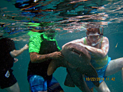 Sylvia with a Nurse Shark--Belize-s- 10-22-2014.jpg