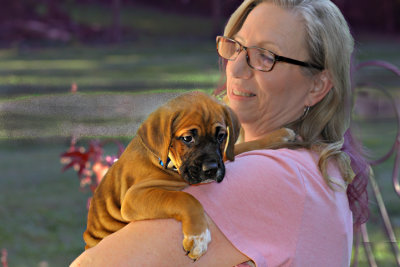 Rollo and Donna visit GM & GD_-s-6-27-2016 .jpg
