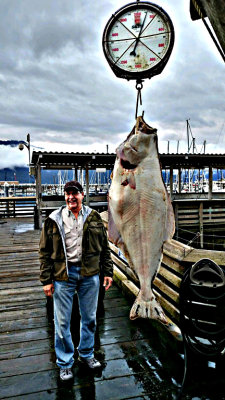 Bill's Huge 120 pound Halibut fish-Alaska- Sept 2016-s-.jpg
