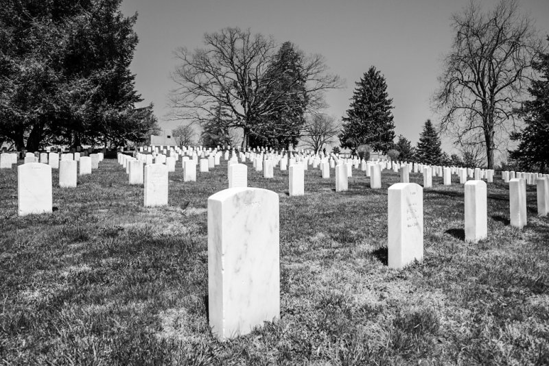 _DSF0404bw.jpg