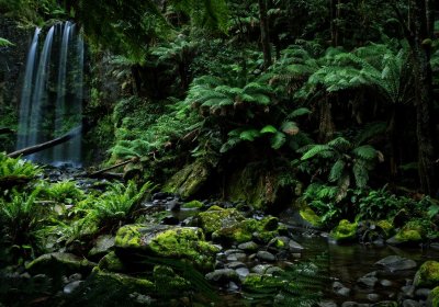 Hopetoun Falls