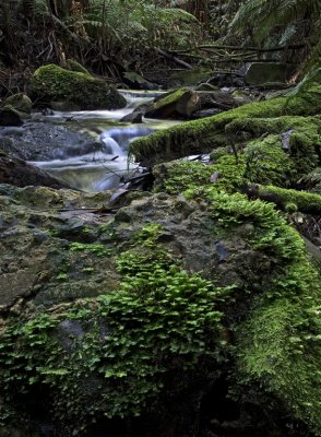 Sylvia Creek3