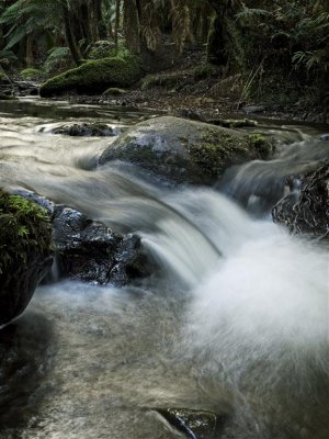 Sylvia Creek6