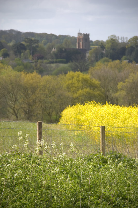 Colne Engaine