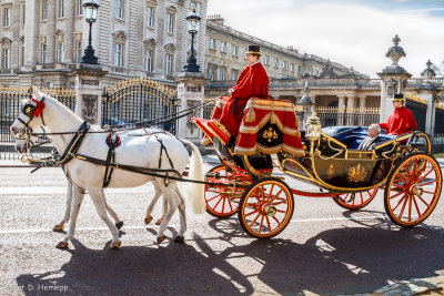 Palace visitor