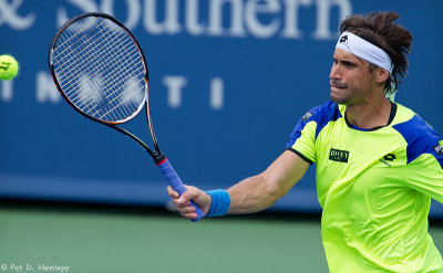 David Ferrer, 2013