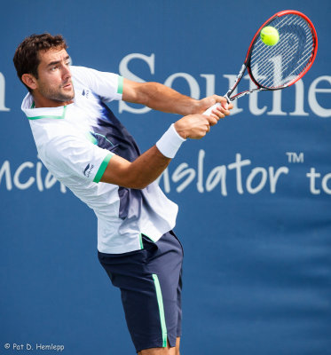 Marin Cilic, 2014