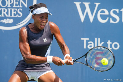 Venus Williams, 2014