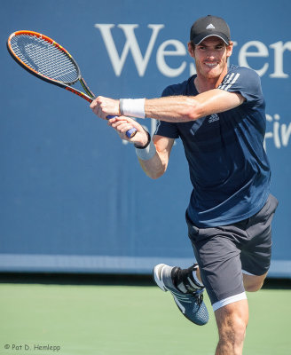 Andy Murray, 2014