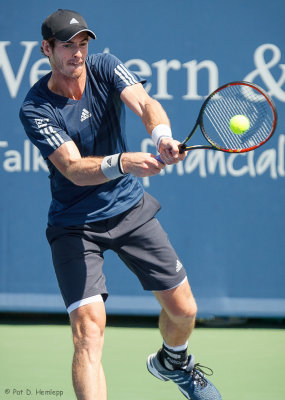 Andy Murray, 2014