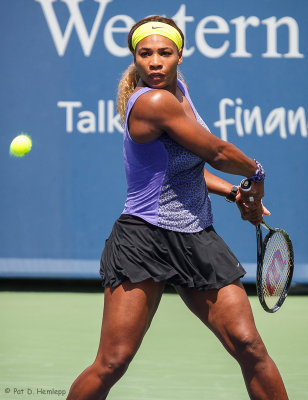 Serena Williams, 2014