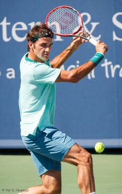 Roger Federer, 2014