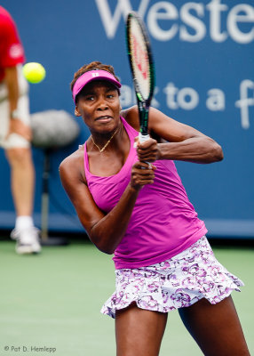 Venus Williams, 2015