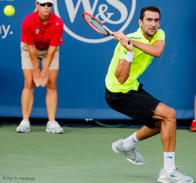 Marin Cilic, 2015