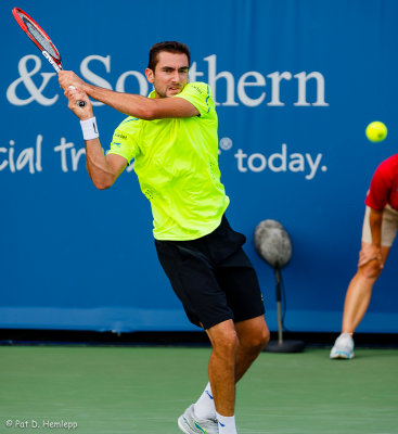 Marin Cilic, 2015