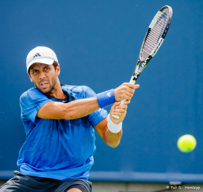 Fernando Verdasco, 2015