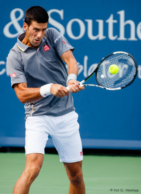 Novak Djokovic, 2015