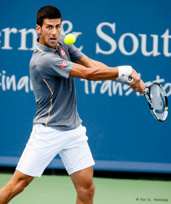 Novak Djokovic, 2015