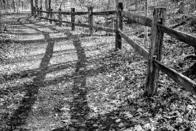 Fence and shadows - B&W