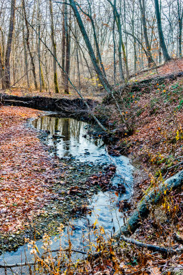 Flowing stream