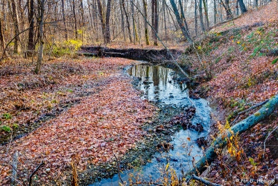 Moving water