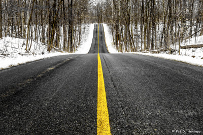 Road through woods