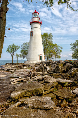 Lighthouse and trees