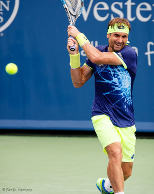 David Ferrer, 2016