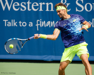 David Ferrer, 2016