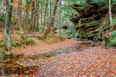 Toward the cliffs