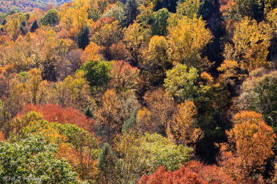 Fall, Hocking Hills, 2007