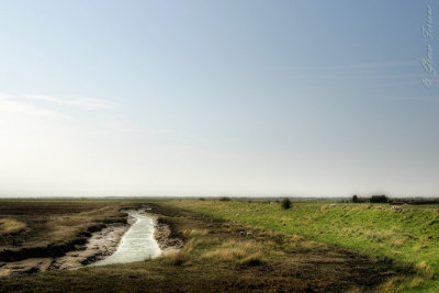 LC1O8934j_pm_800.jpg