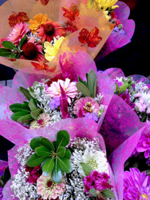 g9/31/528631/3/157363902.XTT8xkGQ.jpg