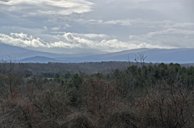 g9/31/528631/3/164793294.aPILlGl7.jpg