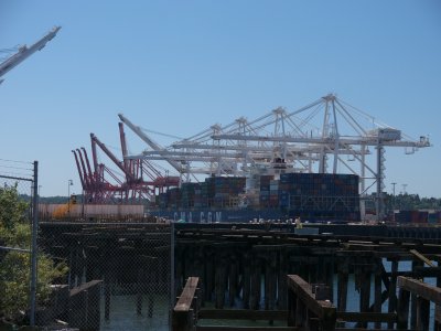 Seattle, Terminal 18  #2