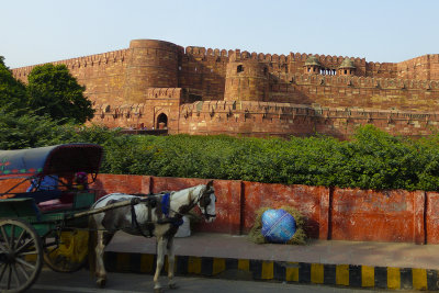 Adding Color to the Fort