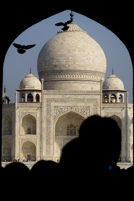 Taj Revelation