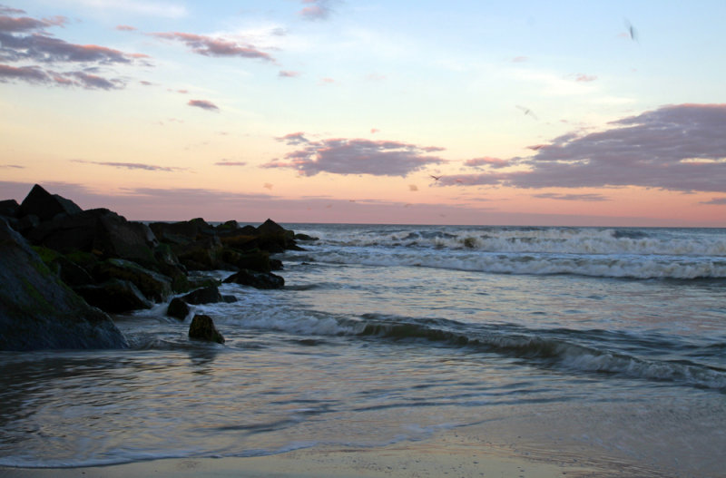 _MG_0616.jpg