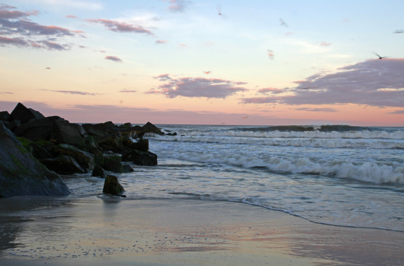 _MG_0617.jpg