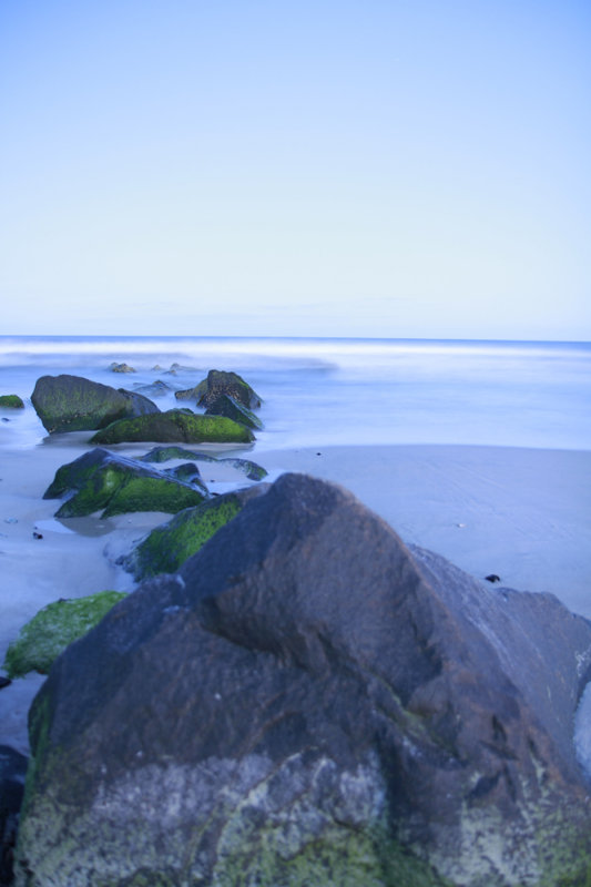 _MG_0733.jpg