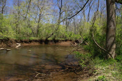Crosswicks Creek