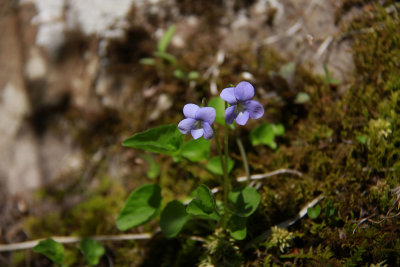 _MG_0959.jpg