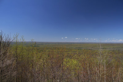 The view from Sunrise Mountain