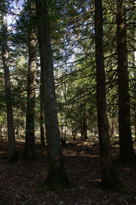 _MG_1163.jpg