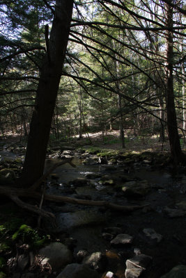_MG_1165.jpg