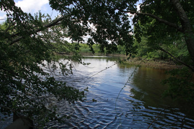 Tidal mud flat filling in with water