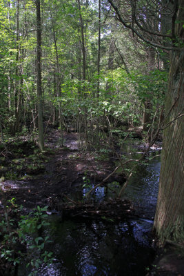 _MG_4704.jpg
