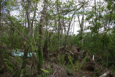Debris from Hurricane Sandy