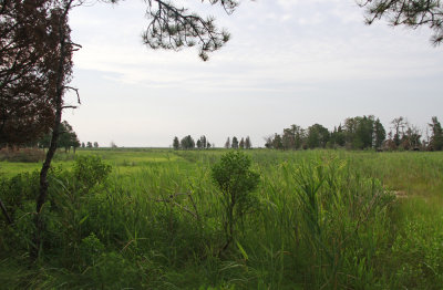 _MG_5305.jpg