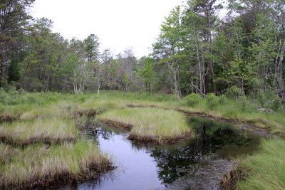 _MG_5374.jpg